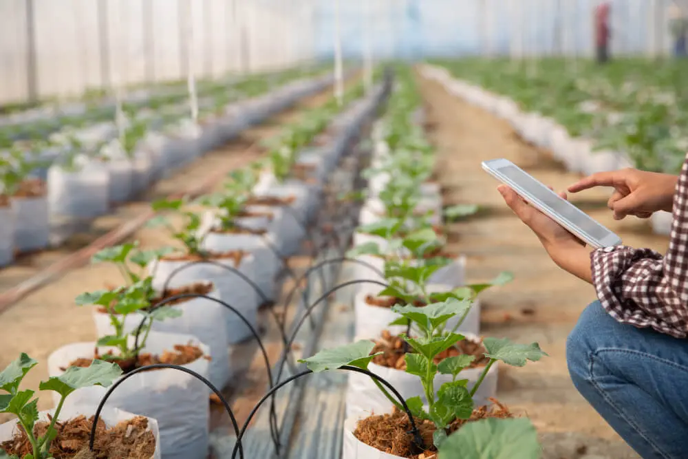 IoT Irrigation Monitor
